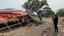 Penggerebekan Arena Judi Sabung Ayam di Gresik