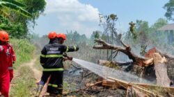 Pencegahan Karhutla di Pangkalpinang Melalui Pembentukan Satgas