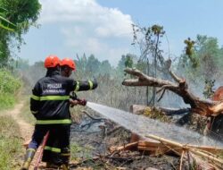 Pencegahan Karhutla di Pangkalpinang Melalui Pembentukan Satgas