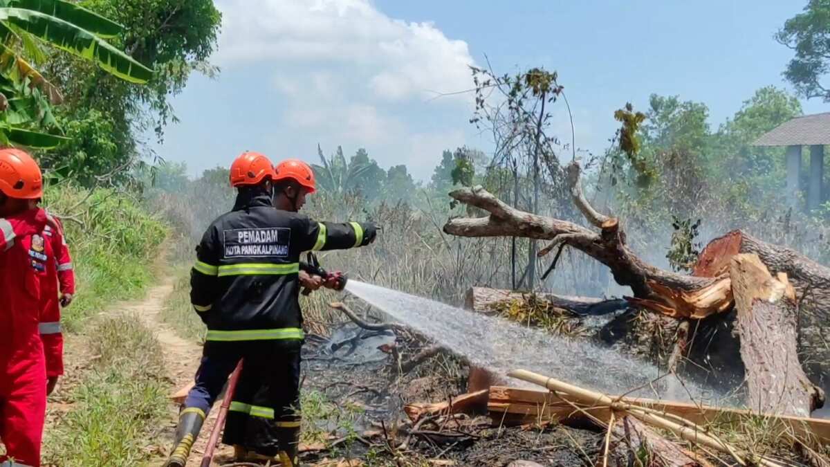 Pencegahan Karhutla di Pangkalpinang Melalui Pembentukan Satgas