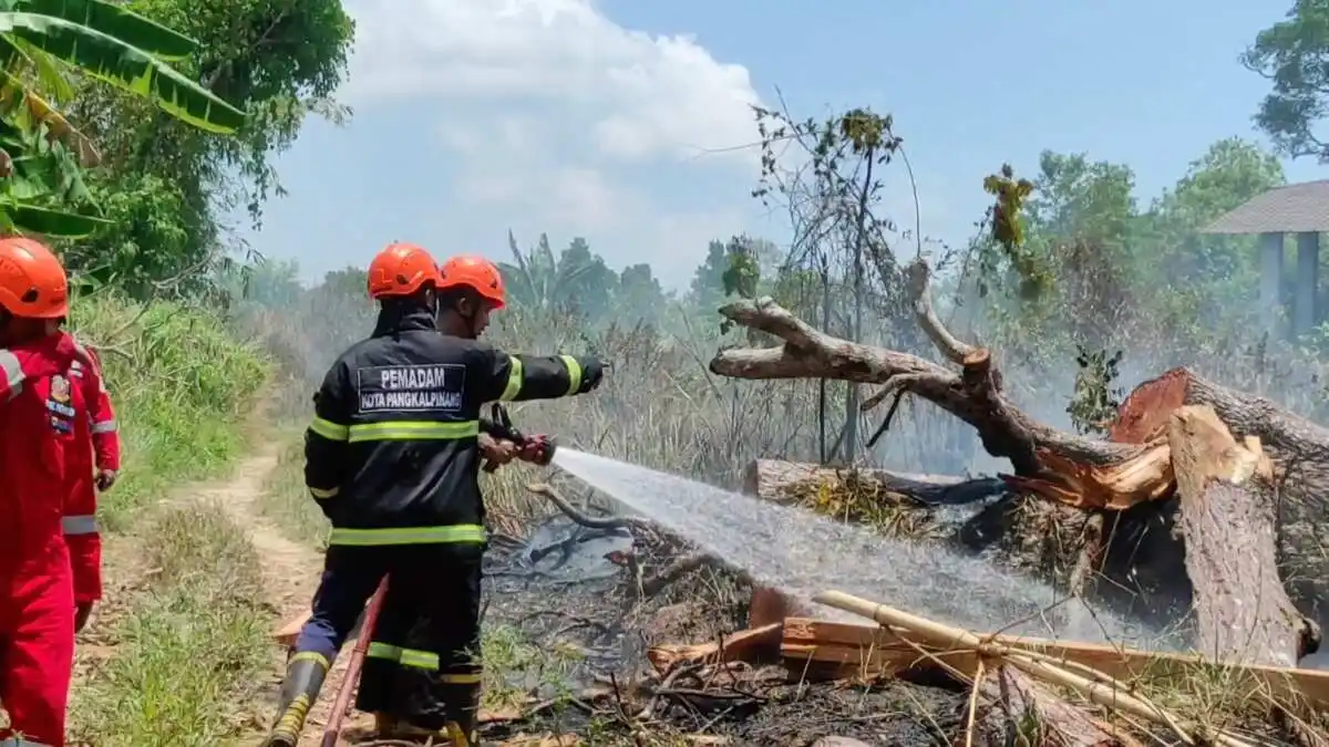 Pencegahan Karhutla di Pangkalpinang Melalui Pembentukan Satgas