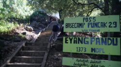 Tragedi Pendaki Gunung Muria: Kehilangan di Puncak 29