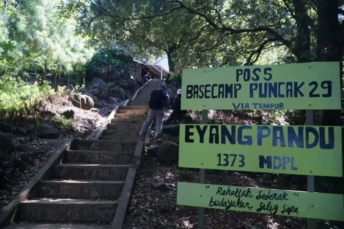 Tragedi Pendaki Gunung Muria: Kehilangan di Puncak 29