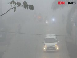 Dampak Kebakaran Hutan terhadap Kualitas Udara di Indonesia