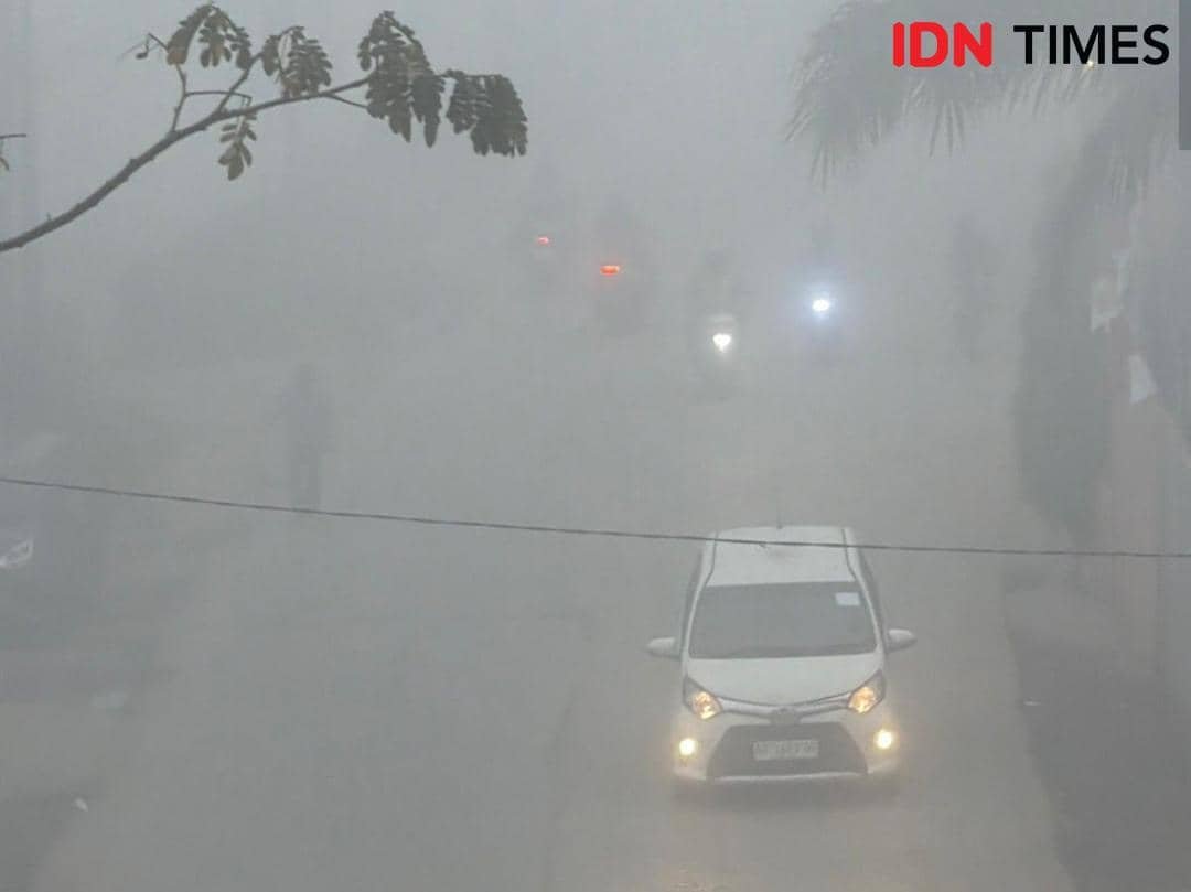 Dampak Kebakaran Hutan terhadap Kualitas Udara di Indonesia