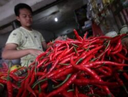 Kenaikan Harga Komoditas Pangan di Indonesia: Fokus pada Cabai