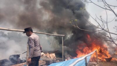 Kebakaran Lahan Mengancam Permukiman Warga di Kampung Sota