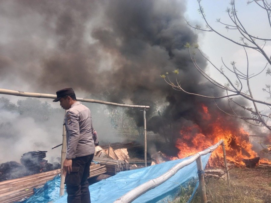 Kebakaran Lahan Mengancam Permukiman Warga di Kampung Sota