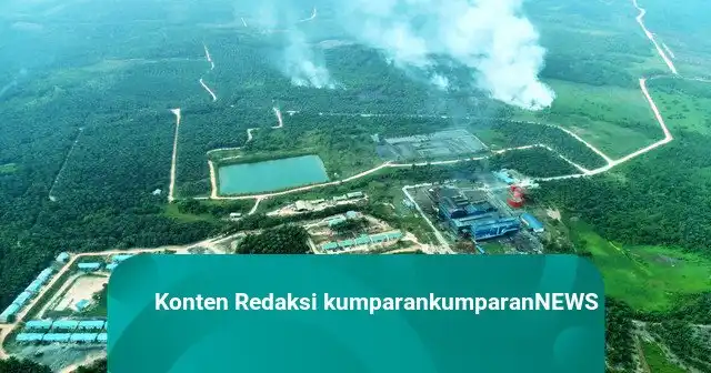 Kebakaran Hutan di Perbatasan IKN: Upaya Pemadaman Melalui Patroli Udara