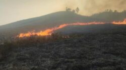 Kebakaran Terjadi di Kawasan Wisata Gunung Bromo