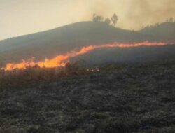 Kebakaran Terjadi di Kawasan Wisata Gunung Bromo