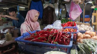Kenaikan Harga Cabai Rawit di Jakarta: Dampak Musim Kemarau dan Biaya Distribusi