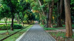 Wisata Malam Gratis: Menikmati Taman 24 Jam di Jakarta