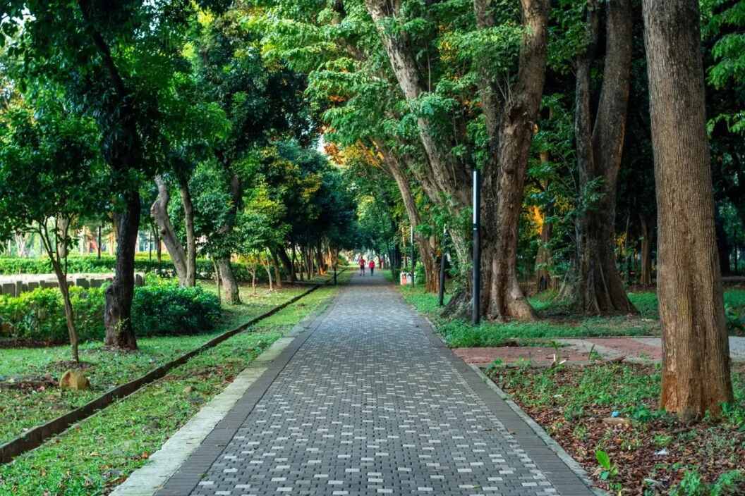 Wisata Malam Gratis: Menikmati Taman 24 Jam di Jakarta