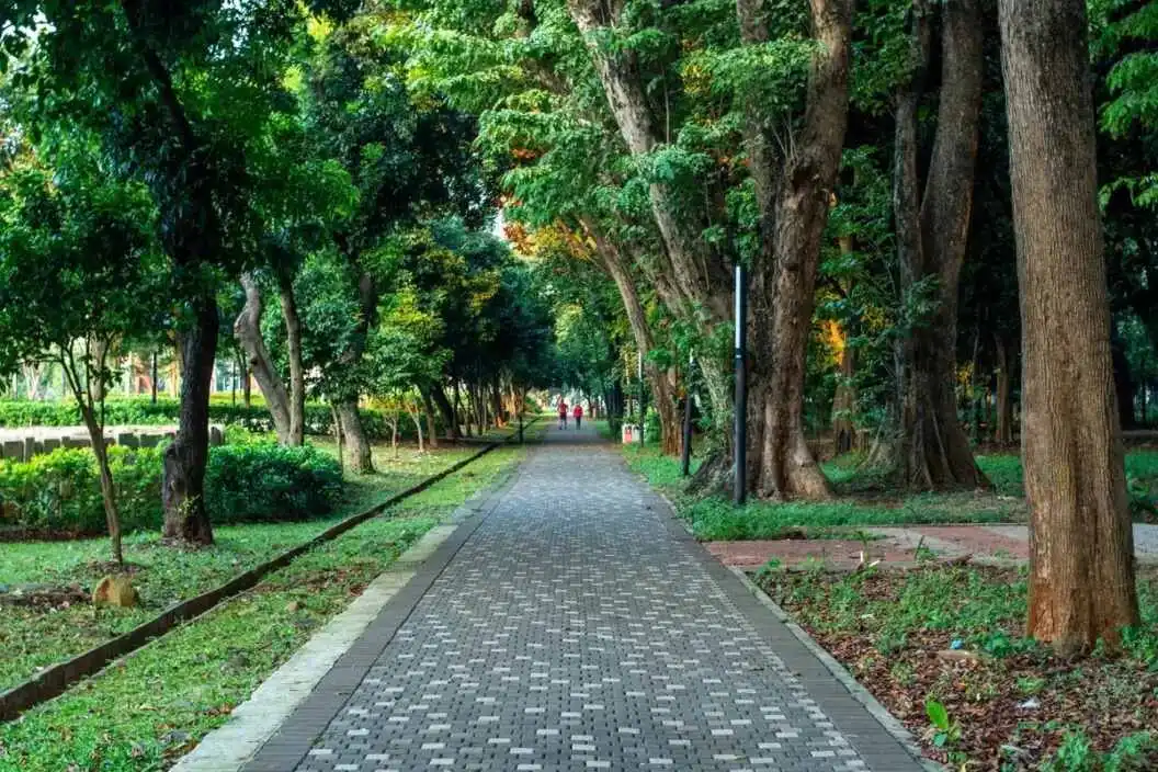 Wisata Malam Gratis: Menikmati Taman 24 Jam di Jakarta