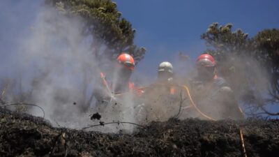 Upaya Membasmi Kebakaran di Gunung Bromo