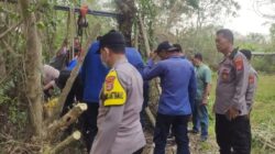 Evakuasi Kerbau Betina Terperosok di Sumur Tua di Serang