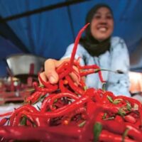 Stabilitas Harga Cabai Melalui Penyaluran Terpadu