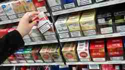 Dampak Kebijakan Pembatasan Tar-Nikotin Terhadap Penerimaan Cukai Rokok