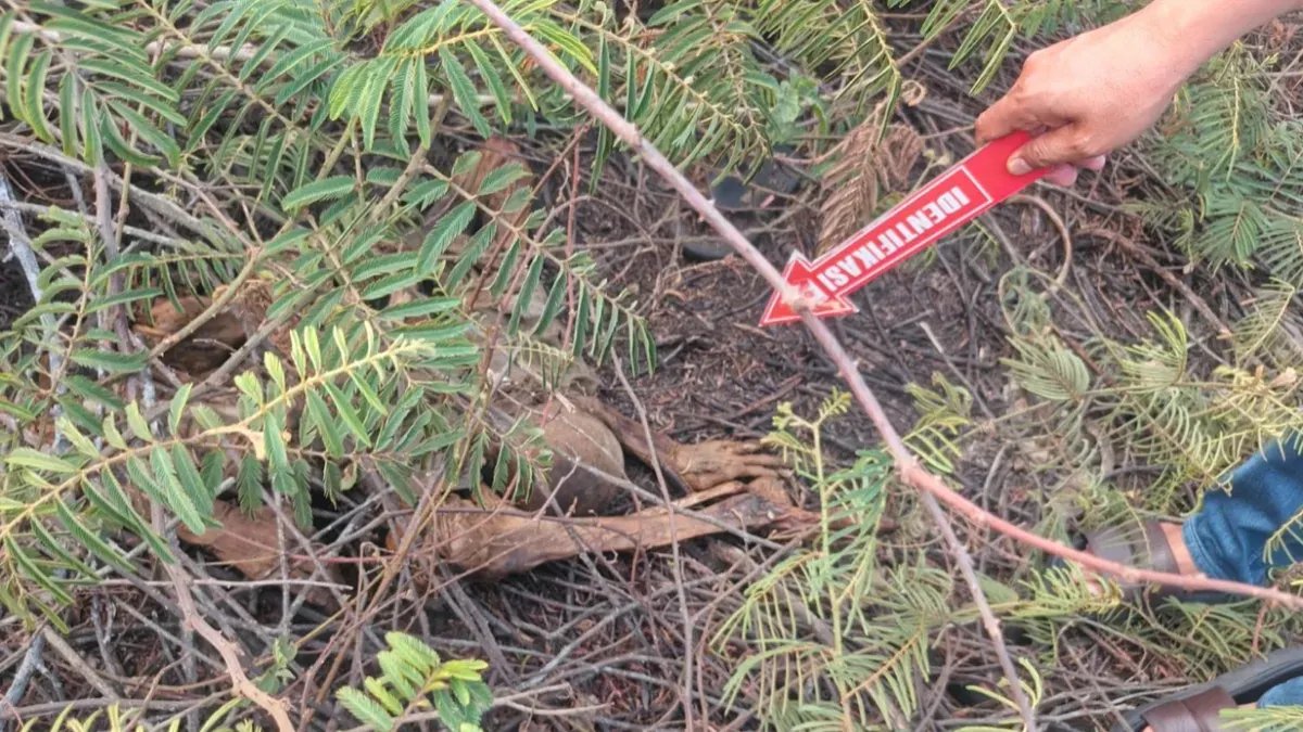 Temuan Mengerikan di Tangerang: Kerangka Manusia Ditemukan di Lahan Kosong