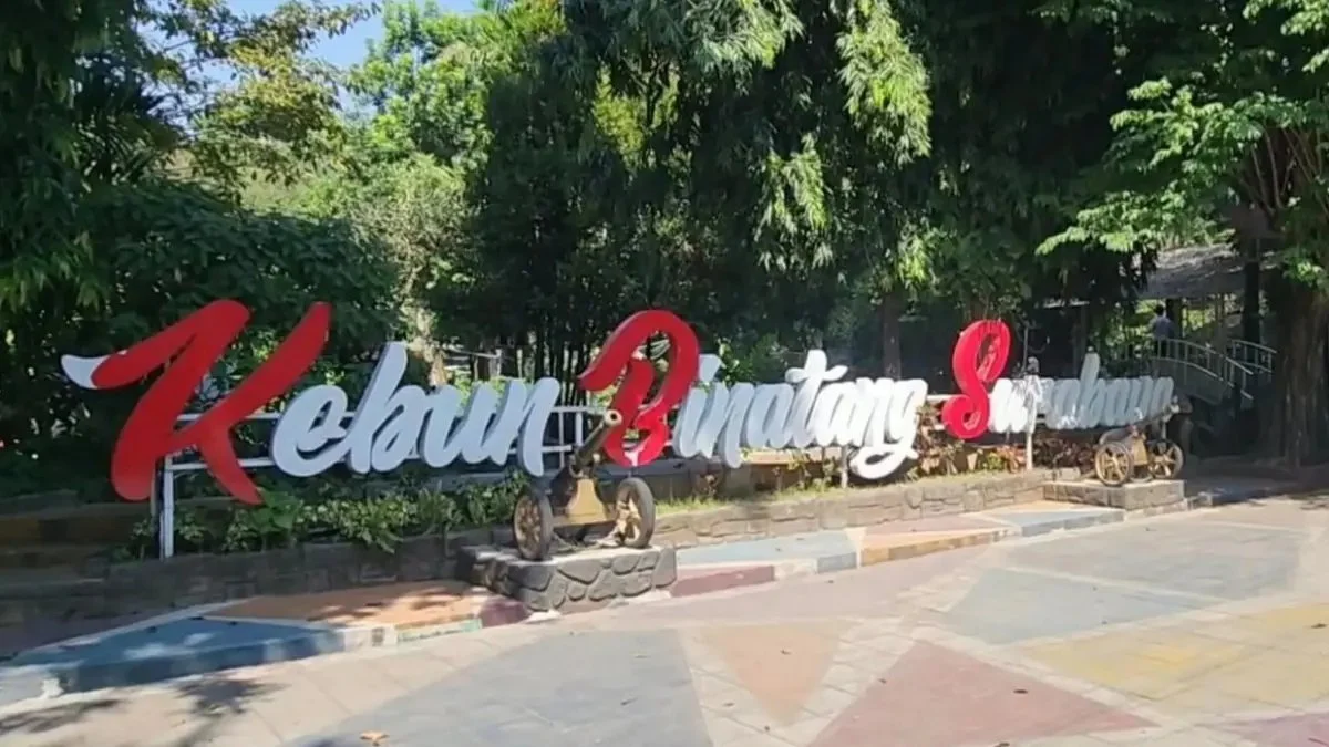 Seleksi Anggota Direksi BUMD Surabaya Diperpanjang Hingga Oktober 2026