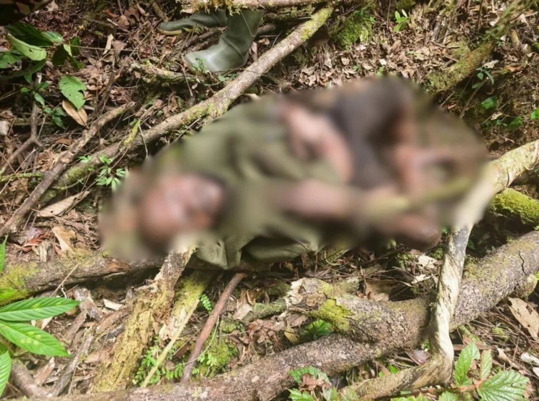 Senjata Api dan Munisi Diamankan dari Kelompok OPM Kodap Sorong Raya dalam Patroli Keamanan Koops TNI Habema di Maybrat
