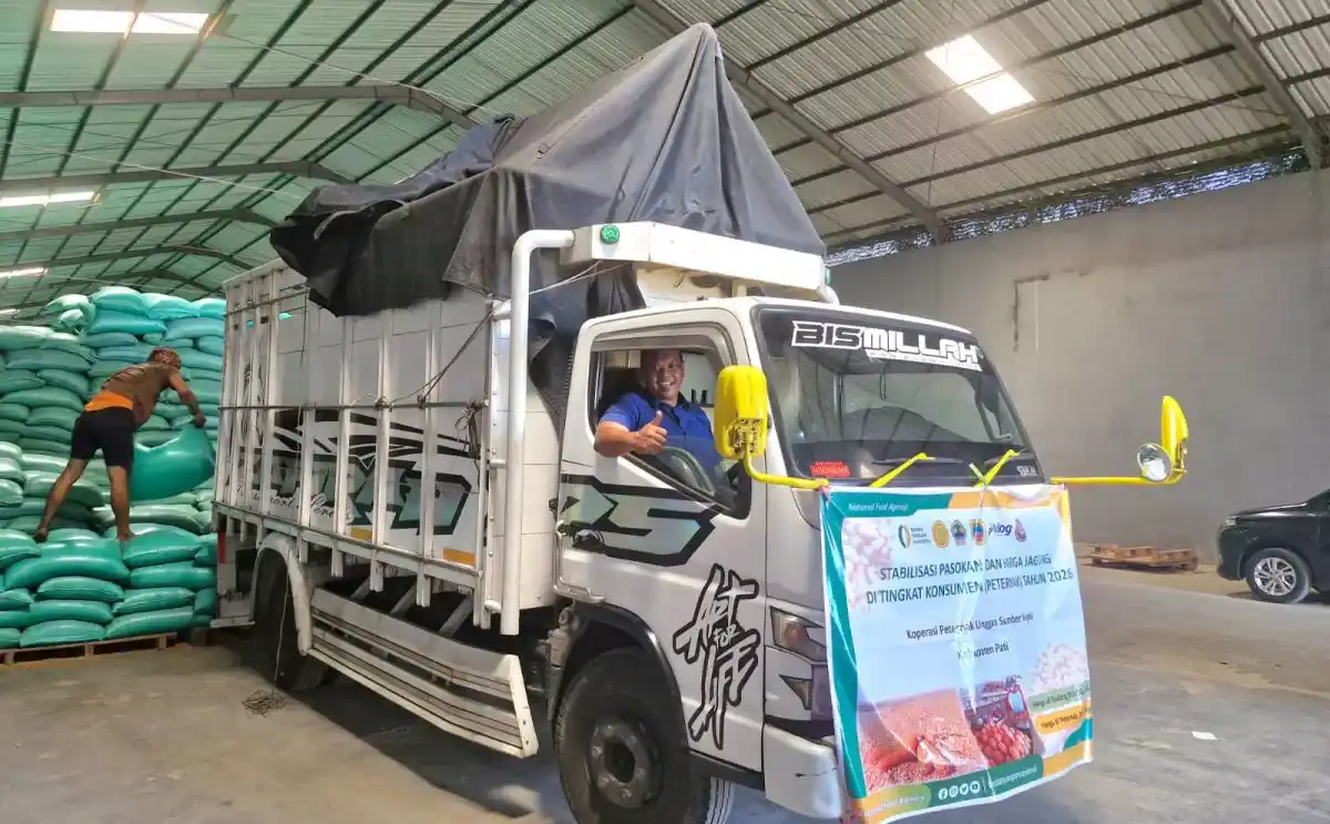 Bulog Jateng Percepat Distribusi Jagung SPHP, Penyaluran Capai 83,28 Persen
