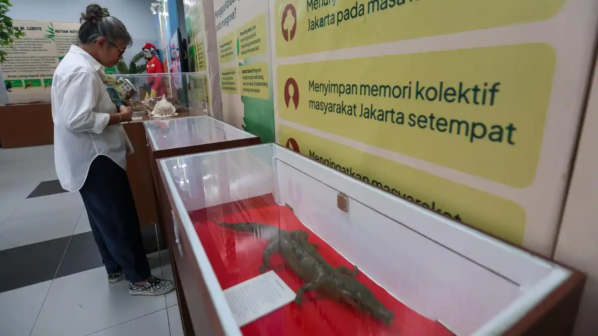 Menelusuri Pesan Pelestarian Hutan dalam Pameran Interaktif di MRT Bundaran HI