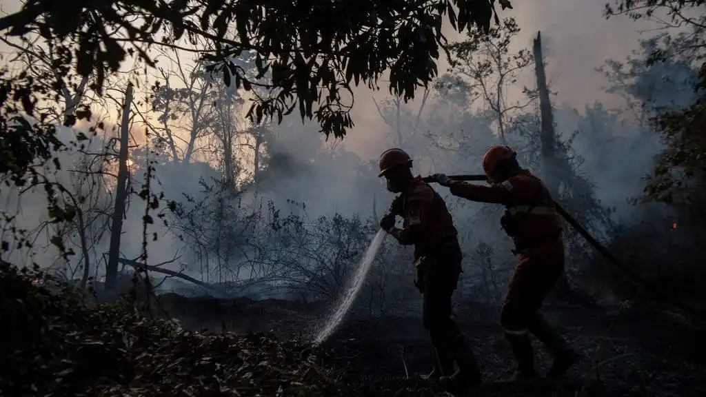 Puncak Suhu Sumsel Capai 37 Derajat Celsius, Risiko Karhutla Meningkat