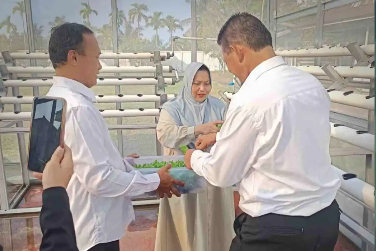 Upaya Bengkalis Menjaga Pasokan Cabai Jelang Natal dan Tahun Baru 2027
