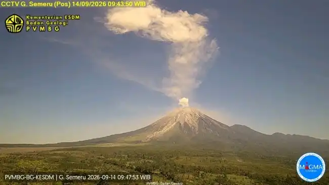 Erupsi Semeru Terekam pada 14 Oktober 2026, Status Gunung Berada di Level III