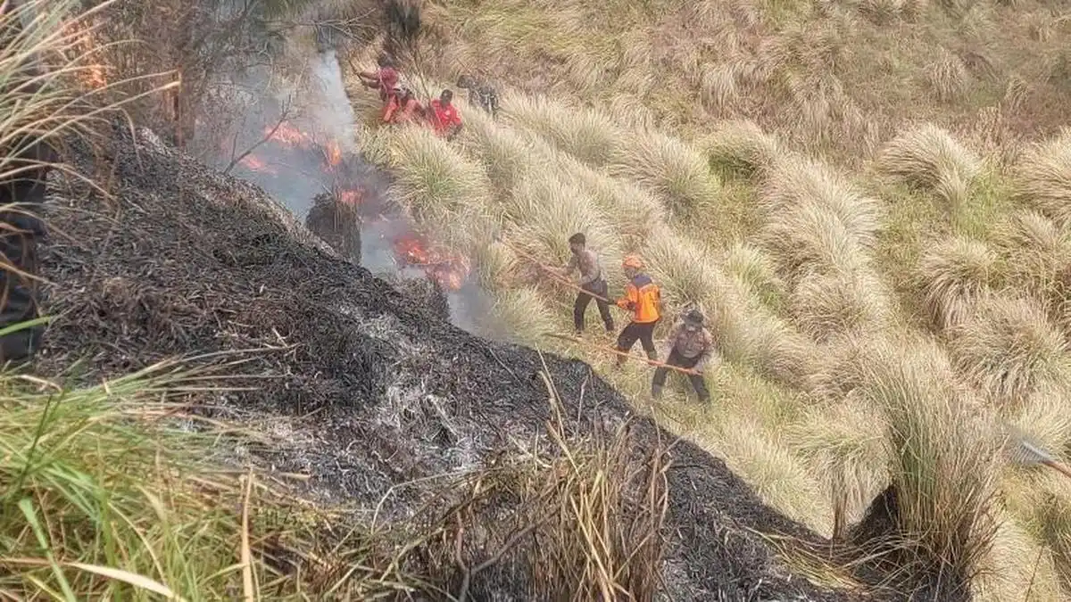 Kebakaran di Bromo Renggut Tiga Nyawa Saat Petugas Berupaya Memadamkan Api