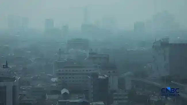 Asap Karhutla Terdeteksi di Jakarta: Temuan Satelit dan Sebaran di Indonesia