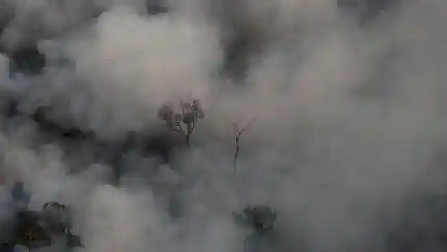 Dari Indonesia ke Amazon: Kekeringan dan Asap dalam Rangkaian Kebakaran Hutan