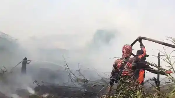 Karhutla di Sampit Kembali Menyala, Petugas Kerahkan Tujuh Kendaraan Pemadam