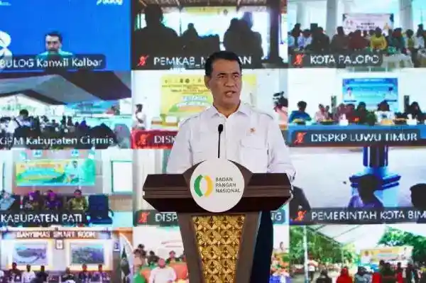 Cadangan Beras Pemerintah Capai 4,56 Juta Ton untuk Antisipasi El Nino